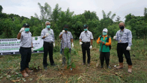 12.000 Bibit Kakao Unggulan Bantuan PT Berau Coal dan Dinas Perkebunan Diserahkan ke Kelompok Tani