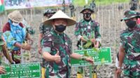 Kasad Tanam Mangrove dan Tinjau Sirkuit Mandalika