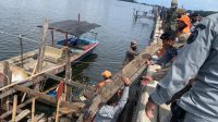 Bakamla RI Tertibkan Dermaga Liar Sepanjang Tanggul Pengamanan Pantai Jakarta
