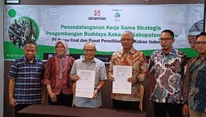 Tindak Lanjut Mengangkat Potensi Kakao di Berau , PT Berau Coal bersama Pusat Penilitian Kopi dan Kakao Tandatangani MoU