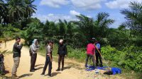 Terkait Perkara Dugaan Penyimpangan Program PSR 2018 s/d 2020, Kejari Laksanakan Pemeriksaan Lapangan