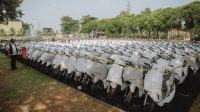 Bareskrim Polri Bongkar Penggelapan 20 Ribu Kendaraan Jaringan Internasional bernilai 876 Milyard