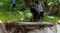 Senpi Rakitan Ditemukan Warga Kilo Poso Saat Gali Lubang
