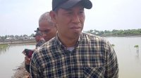Pers Bekasi Raya Tanam Ratusan Pohon Mangrove di Pesisir Pantai