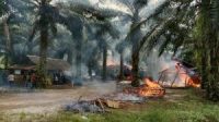 Polsek Pancur Batu Lakukan Gerak Cepat dalam Penggerebekan Lokasi Judi Jenis Sabung Ayam