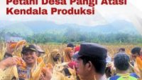 Kapolsek Baolan Hadiri Kegiatan Ubinan Jagung di Desa Pangi: Dorong Dukungan Nyata untuk Petani