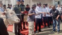 Jaksa Agung Qurbankan 25 Ekor Sapi, 1 Diberikan untuk Forwaka