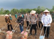 Polres Lubuk Linggau bersama Forkopimda Kota Lubuk Linggau laksanakan Penanaman Jagung Serentak Kuartal III Tahun 2025