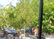 Inspektorat Tindaklanjuti Petisi Warga Kampung Teluk Semanting