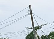 Warga Gang Berlian Sambaliung Mengeluhkan Kurangnya Pasokan Listrik, Minta Penambahan Tiang Listrik PLN