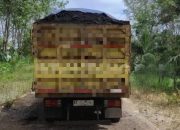 Aktivitas pemuatan Batu Bara Ilegal di Berau Mulai Marak