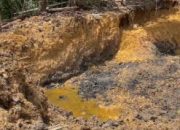 Jangan Biarkan Alam Berau Rusak Makin Parah Karena Tambang Ilegal