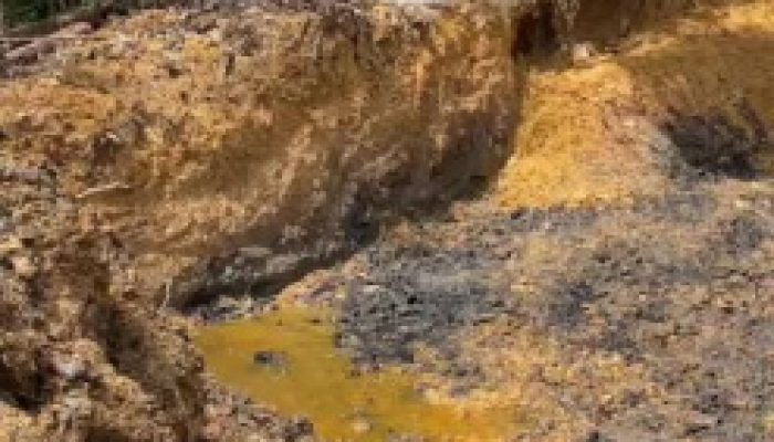 Jangan Biarkan Alam Berau Rusak Makin Parah Karena Tambang Ilegal
