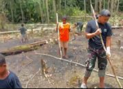 Satgas Pamtas Yonif 763/SBA Pos Joshiro Gelar Kegiatan Pembuatan Lahan Pertanian dalam Memeriakan HUT TNI ke 80 Bersama Masyarakat Kampung Joshiro