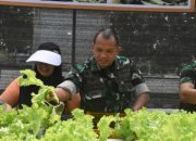 Dandim 1710/Mimika Bersama Ketua Persit KCK Cab. XXXV Melaksanakan Panen Slada di Kebun Hidroponik Mimosa Persit KCK Cab. XXXV Kodim 1710/Mimika