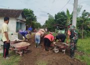Pasca Hujan, Babinsa Sigap Bantu Uruk Jalan Sawah yang Rusak
