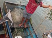 Nelayan di Kampung Kasai dan Semating Resah, Alat Tangkap Rusak Akibat Rumpon Makin Banyak