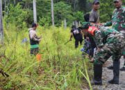Kodim 1715/Yahukimo Gelar Karya Bakti Pembersihan Lingkungan Bersama Masyarakat