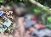 Tim Patroli Keamanan Koops TNI Papua Tindak Tegas Anggota OPM di Nabire