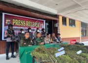 TNI-Polri Gelar Press Release Pengungkapan Tindak Pidana Narkotika di Kabupaten Pegunungan Bintang