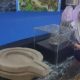 Kurator Museum Ranggawarsita Jelaskan Cara Mengungkap Jejak Kerajaan Masa Lampau