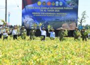 Panglima TNI Bersama Menteri Pertanian Melaksanakan Panen Raya Kedelai Ketahanan Pangan TNI AL di Nganjuk
