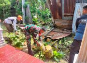 Sigap Bantu Warga, Babinsa Koramil-06/KTN Bersihkan Pohon Tumbang Timpa Rumah