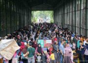 Antusiasme Wisatawan Melonjak Saat HUT ke-499 Jakarta, Ragunan Pecahkan Rekor Kunjungan