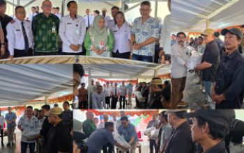 Wagub Sulteng Serahkan Benih Ikan Tawar Jenis Nila 16.800 ekor di Sigi