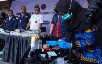 BNN Amankan Wna China Bawa 14,6 Kg Ganja di Soekarno-Hatta